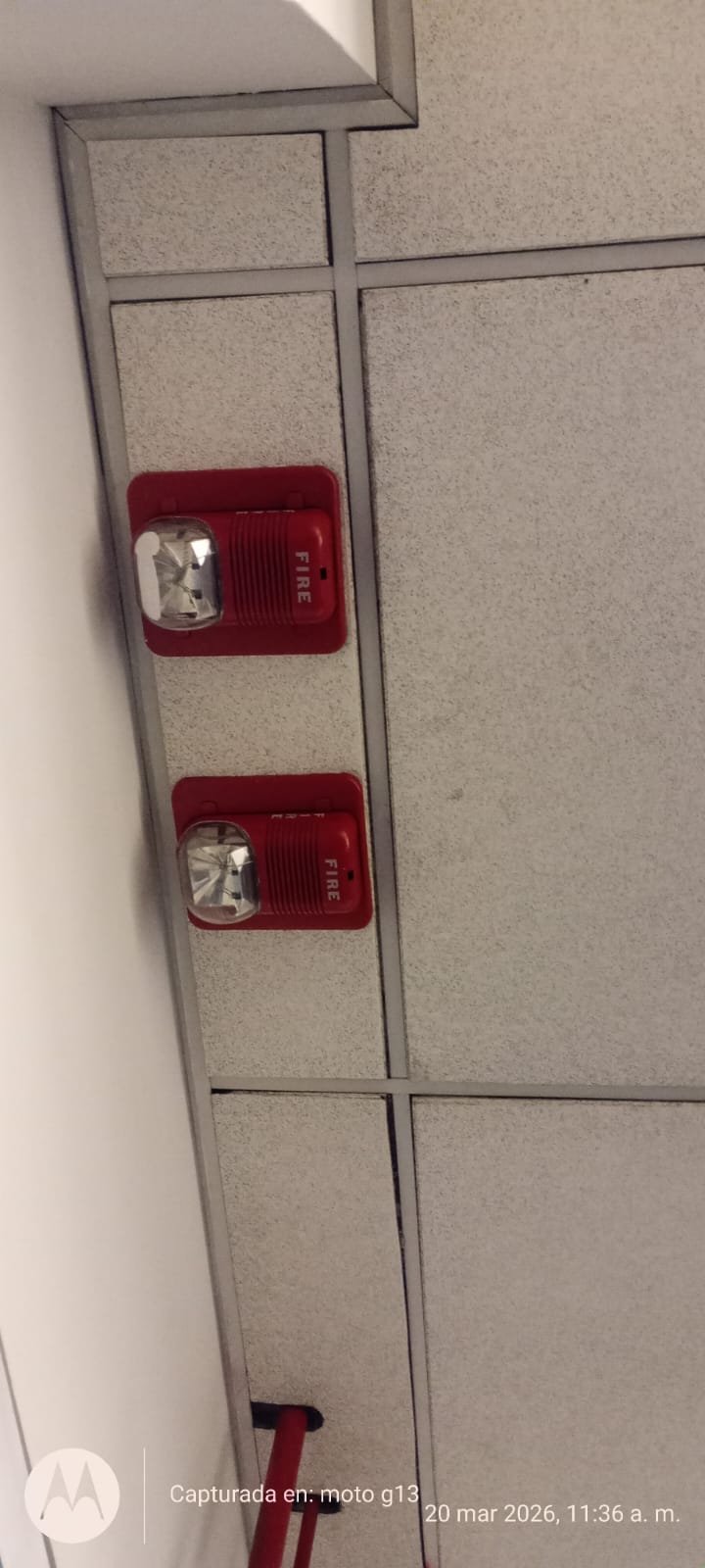 Trabajo Sermain 4