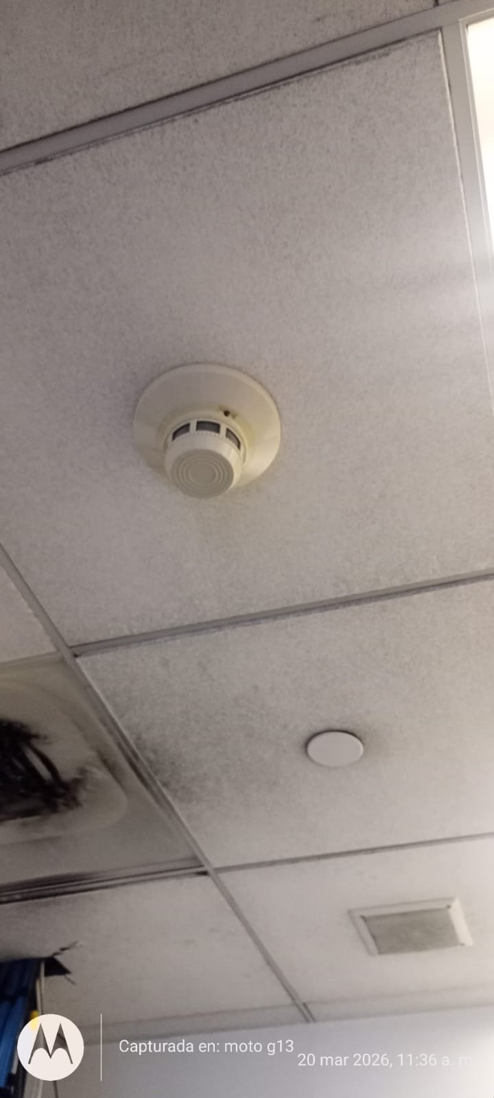Trabajo Sermain 9