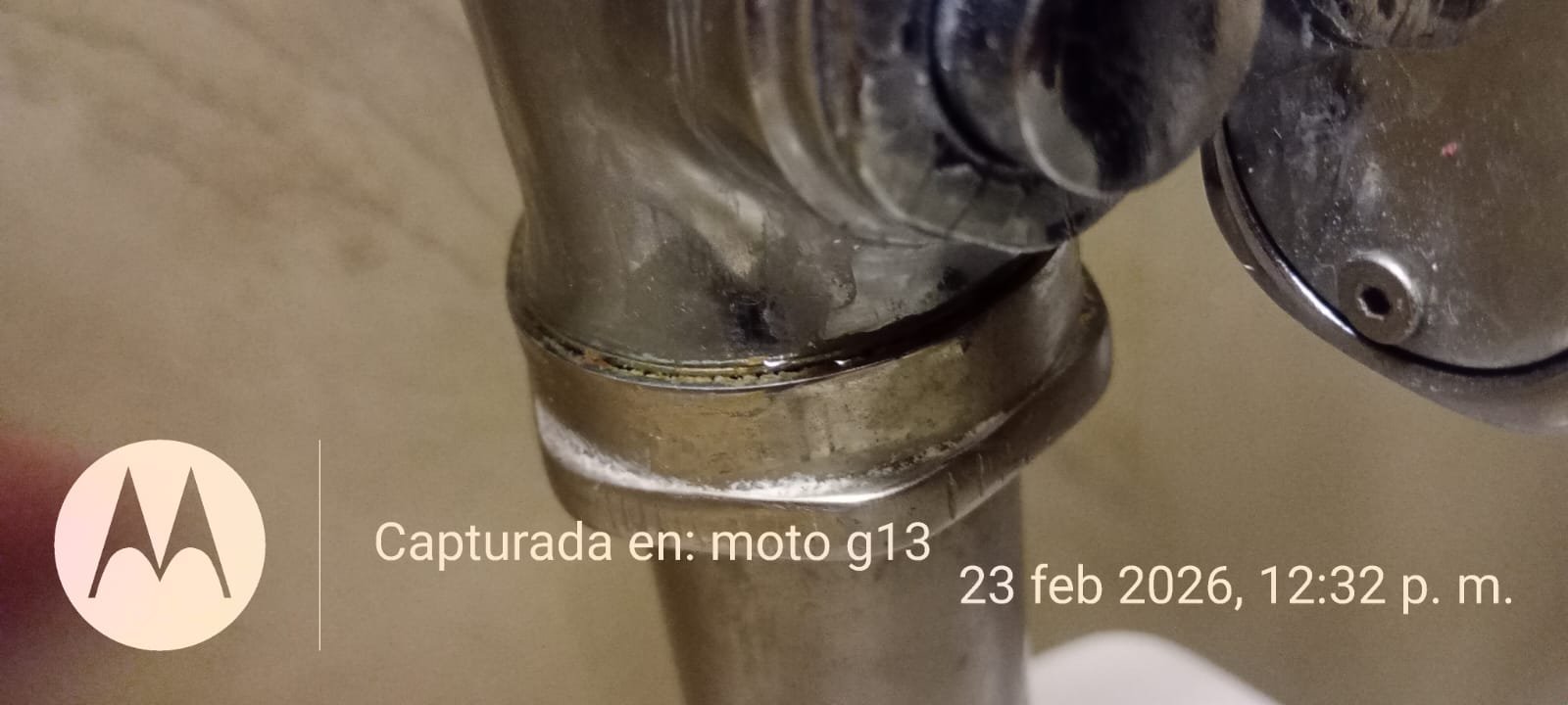 Trabajo Sermain 24