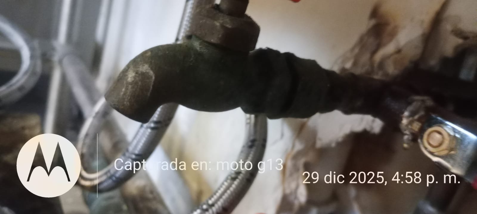 Trabajo Sermain 63
