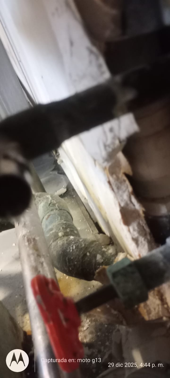 Trabajo Sermain 65