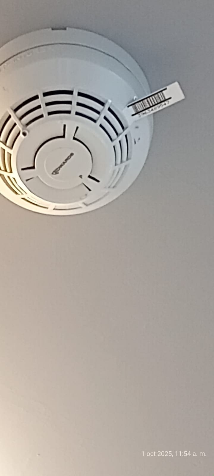Trabajo Sermain 74